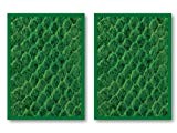 100 Legion Green Dragon Hide Deck Protectors Sleeves MTG Colors Scale by Legion Supplies