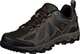 Columbia Homme Chaussures Multisport, Imperméable, Peakfreak XCRSN II Low Leather