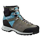 Dolomite Steinbock Hike Gtx Wm n 1.5 Shoe, Pewter Grey/Atoll Blue