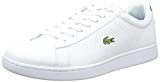 Lacoste Carnaby Evo 217 1, Basses Homme