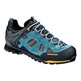 Mammut Ayako Low GTX® Hommes Chaussures Sport Sneakers Baskets