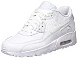 Nike Air Max 90 LTR (GS), Chaussures de Running Entrainement Homme