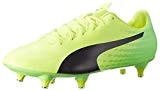 Puma Evospeed 17.4 SG, Chaussures de Football Homme, Safety Yellow Black-Green Gecko 01