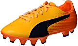 Puma Evospeed 17 SL S FG Jr, Chaussures de Football Mixte Enfant, Neongelb/Neongrün