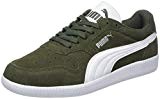 Puma Icra Trainer SD, Sneakers Basses Mixte Adulte, Beige/Blanc
