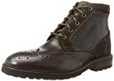 Strellson Benchill New Browne Mfu, Brogues Homme