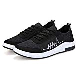 TAIJU Sports and Leisure Canvas Shoes for Men, Sports, Travel, Leisure, Walking, Running Breathable Sports, Comfortable Shoes