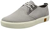 Timberland Amherst Ptosteeple Grey Cotton Canvas, Oxford Homme